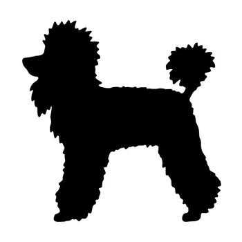 Pes, pudel Roztomilý Zvierat Vinyl Odtlačkový Klasické Tvorivé Cartoon Nepremokavé a opaľovací Krém, Auto Nálepky,12*13 CM